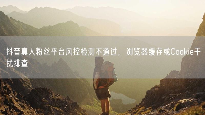 抖音真人粉丝平台风控检测不通过，浏览器缓存或Cookie干扰排查