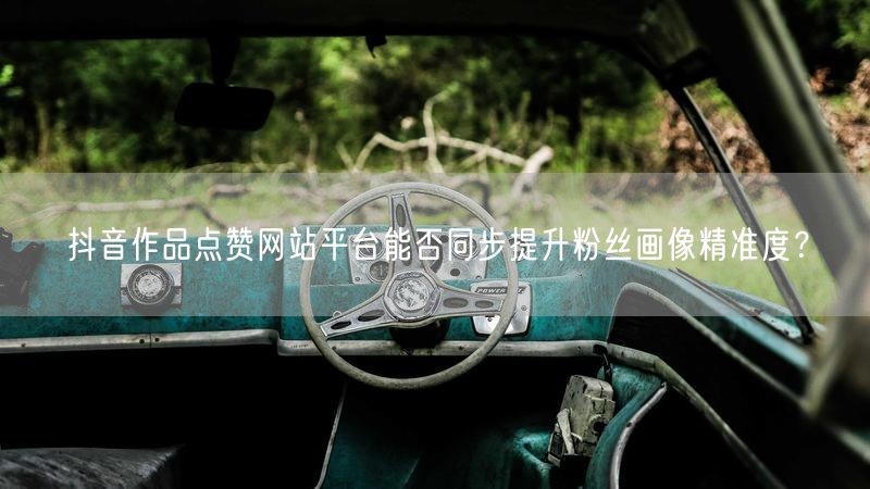 抖音作品点赞网站平台能否同步提升粉丝画像精准度？
