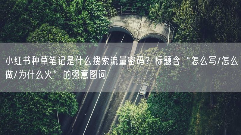 小红书种草笔记是什么搜索流量密码？标题含“怎么写/怎么做/为什么火”的强意图词