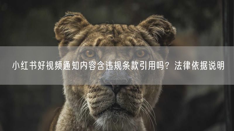小红书好视频通知内容含违规条款引用吗？法律依据说明