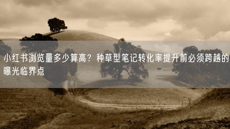 小红书浏览量多少算高？种草型笔记转化率提升前必须跨越的曝光临界点