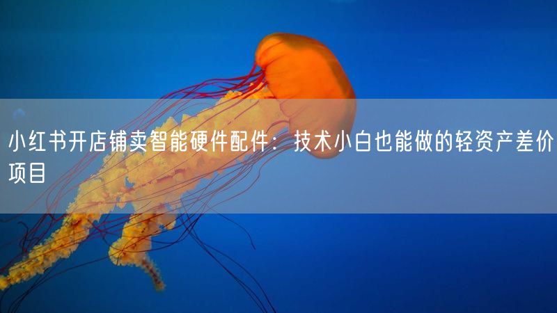 小红书开店铺卖智能硬件配件：技术小白也能做的轻资产差价项目