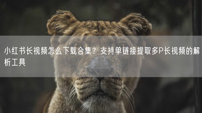 小红书长视频怎么下载合集？支持单链接提取多P长视频的解析工具