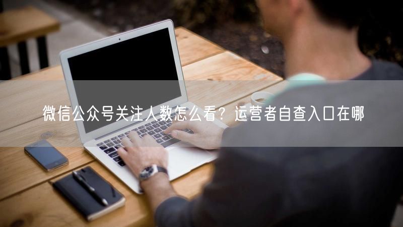 微信公众号关注人数怎么看？运营者自查入口在哪