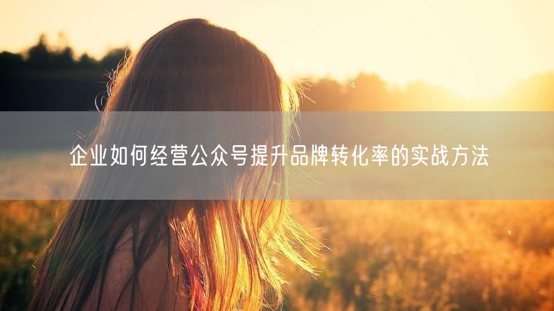 企业如何经营公众号提升品牌转化率的实战方法