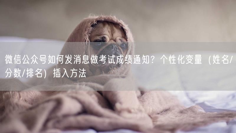 微信公众号如何发消息做考试成绩通知？个性化变量（姓名/分数/排名）插入方法