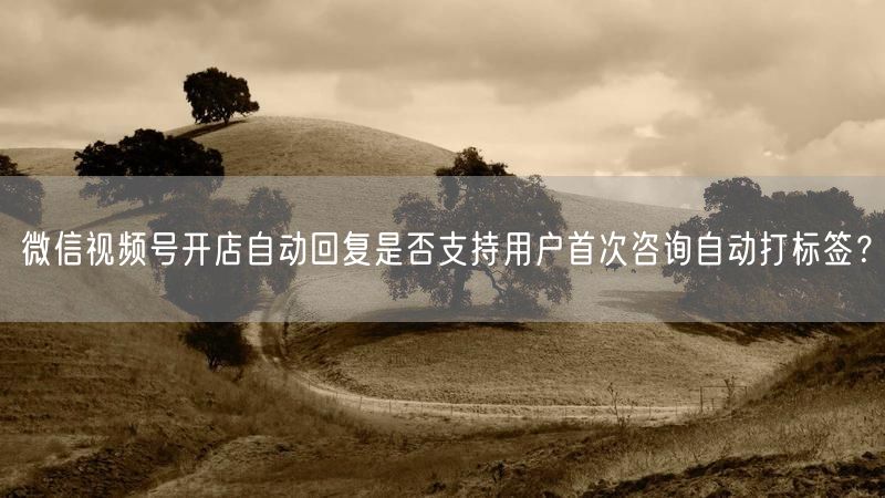 微信视频号开店自动回复是否支持用户首次咨询自动打标签？