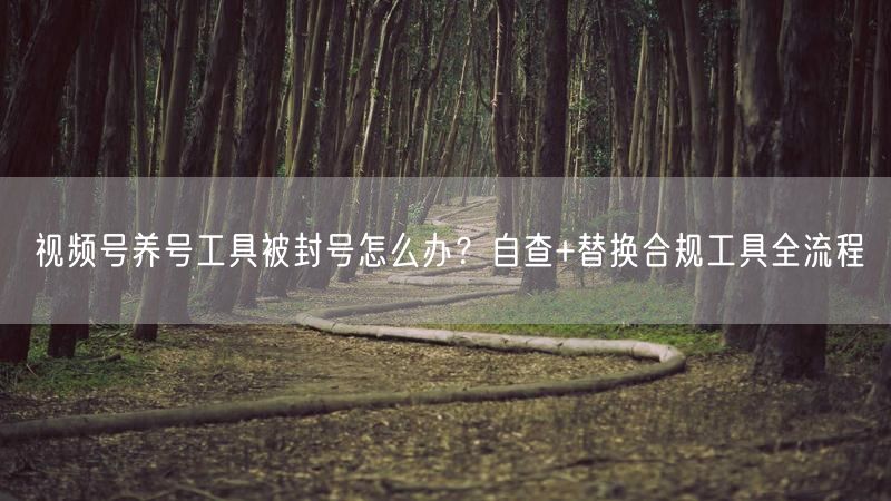 视频号养号工具被封号怎么办？自查+替换合规工具全流程