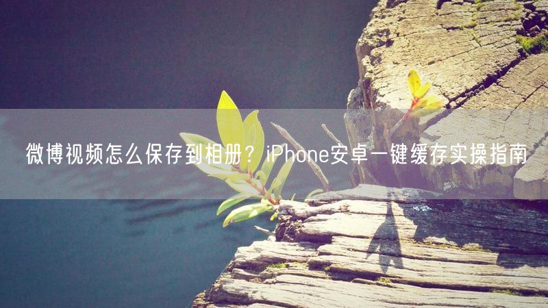 微博视频怎么保存到相册？iPhone安卓一键缓存实操指南