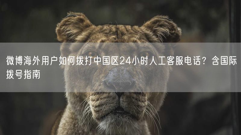 微博海外用户如何拨打中国区24小时人工客服电话？含国际拨号指南