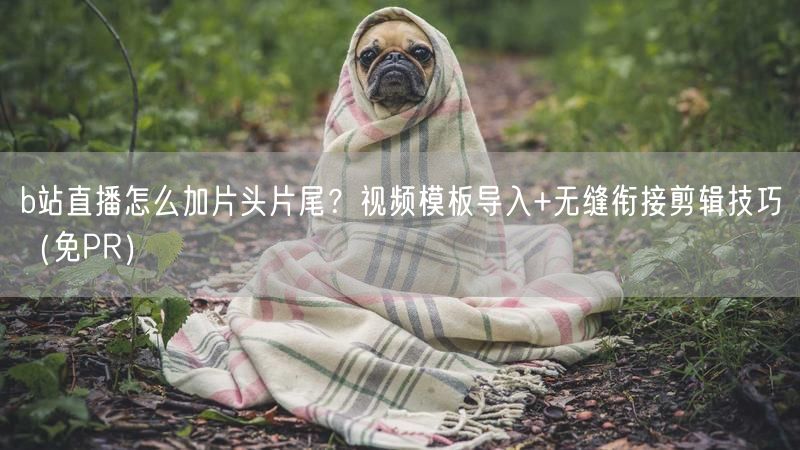 b站直播怎么加片头片尾？视频模板导入+无缝衔接剪辑技巧（免PR）