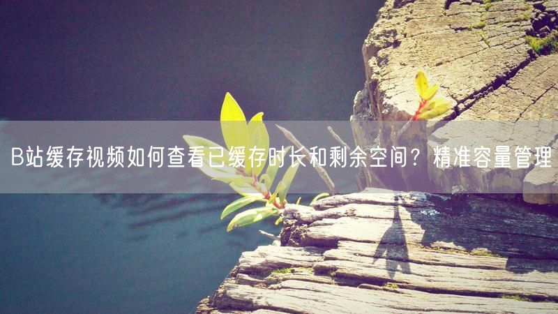 B站缓存视频如何查看已缓存时长和剩余空间？精准容量管理