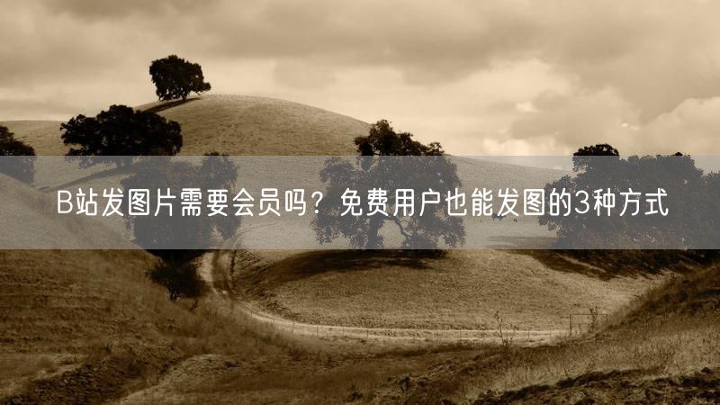 B站发图片需要会员吗？免费用户也能发图的3种方式