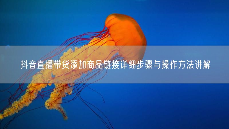 抖音直播带货添加商品链接详细步骤与操作方法讲解