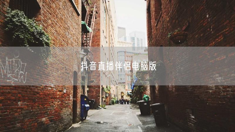 抖音直播伴侣电脑版