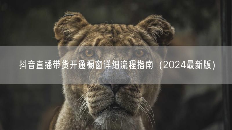 抖音直播带货开通橱窗详细流程指南（2024最新版）