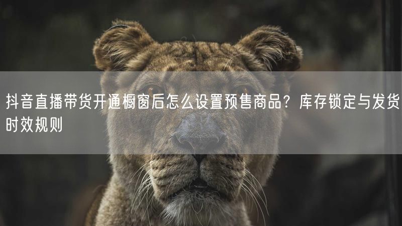 抖音直播带货开通橱窗后怎么设置预售商品？库存锁定与发货时效规则