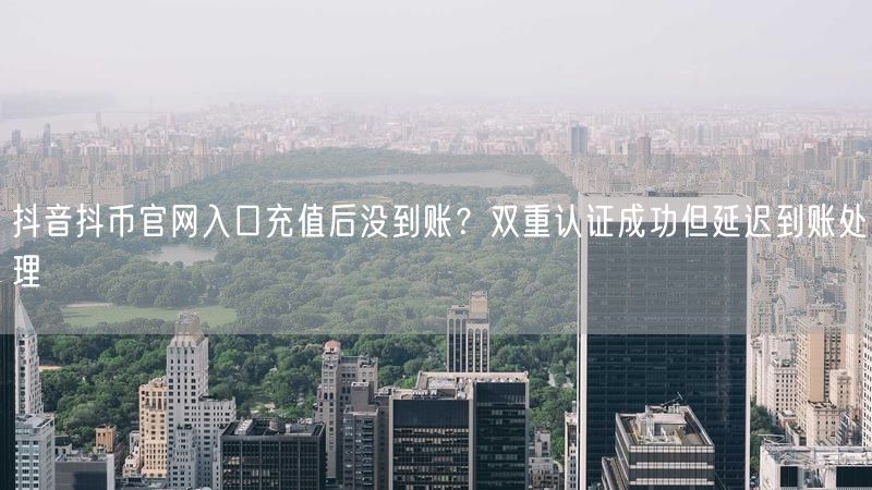 抖音抖币官网入口充值后没到账？双重认证成功但延迟到账处理