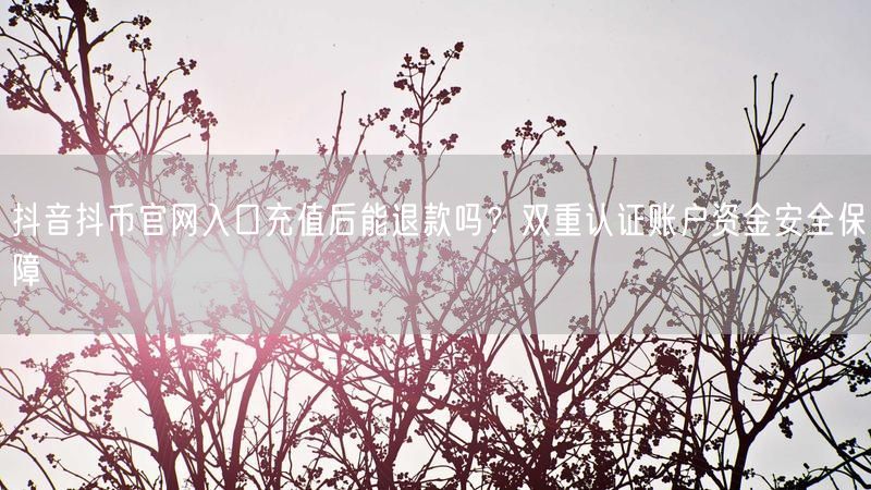 抖音抖币官网入口充值后能退款吗？双重认证账户资金安全保障