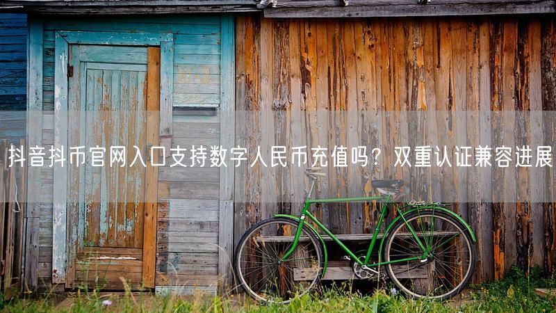 抖音抖币官网入口支持数字人民币充值吗？双重认证兼容进展